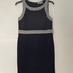 DEX Black Fitted Sleeveless Dress Classic